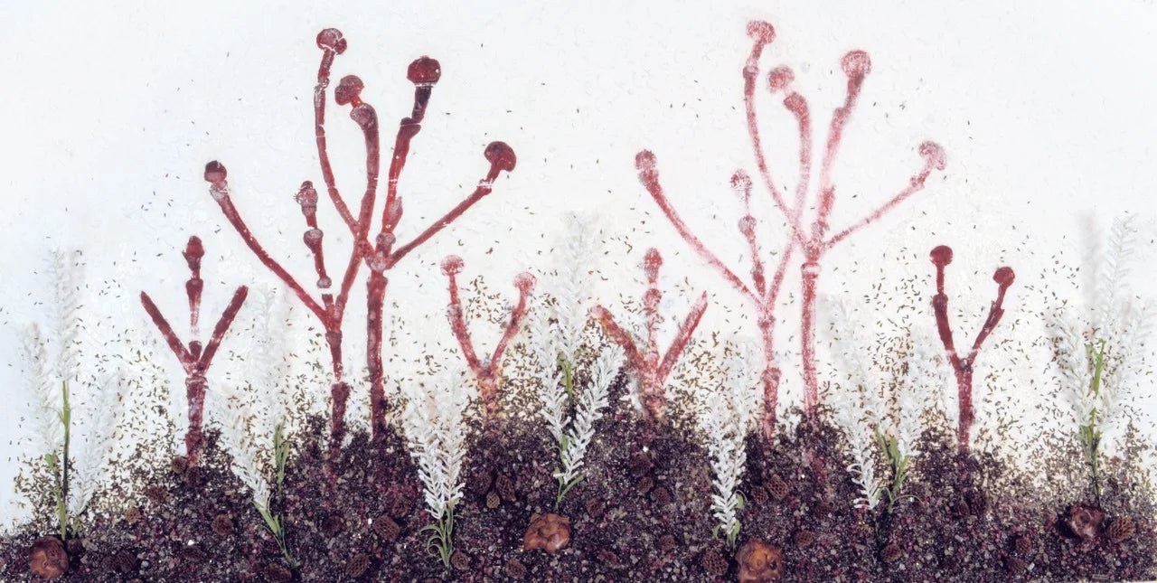 Feature Artist: Gina Jacklin