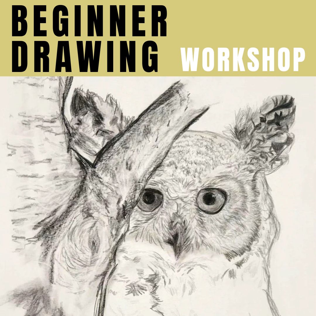 GSA Beginner Drawing Workshop