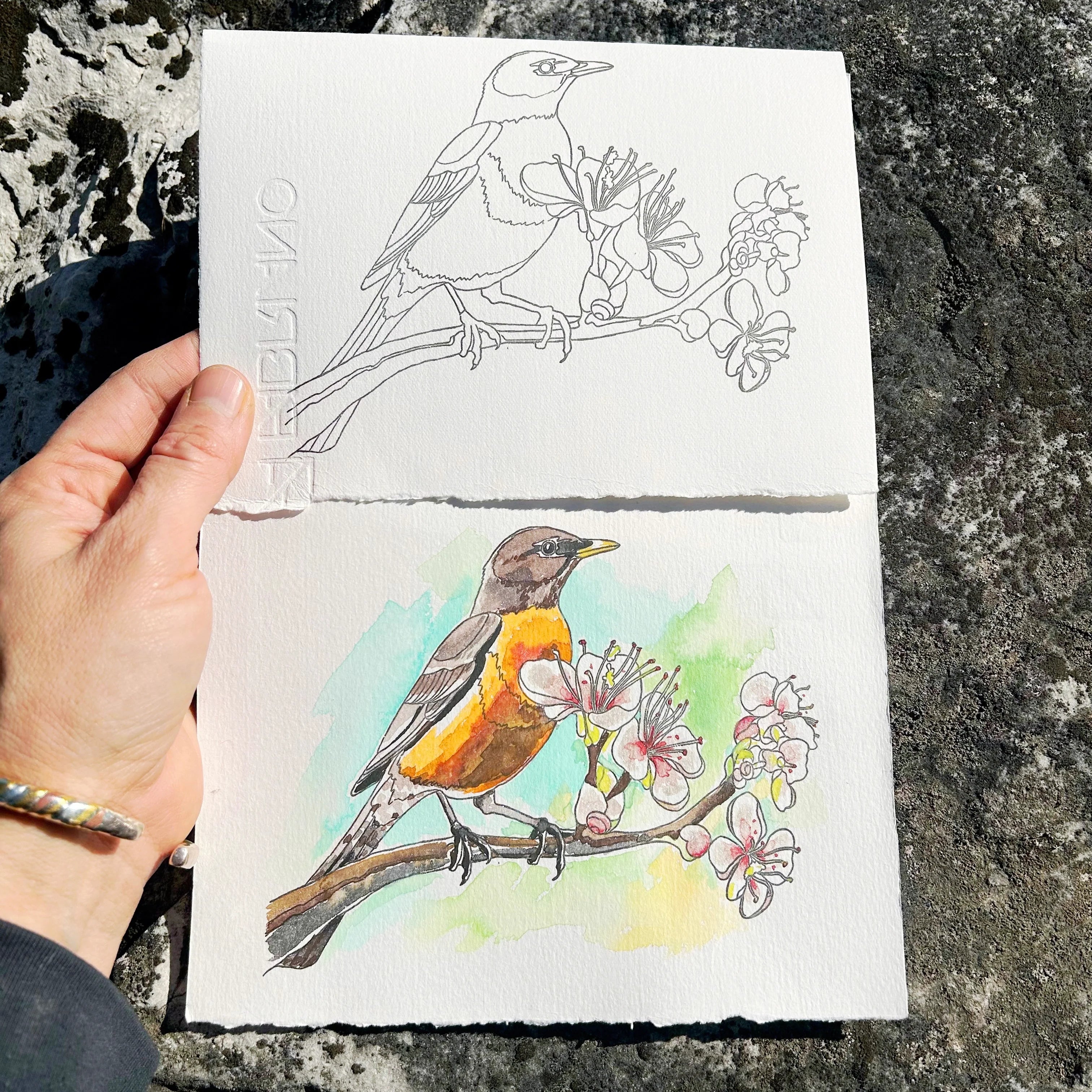 Beam Paintable Cards (With Paint!)