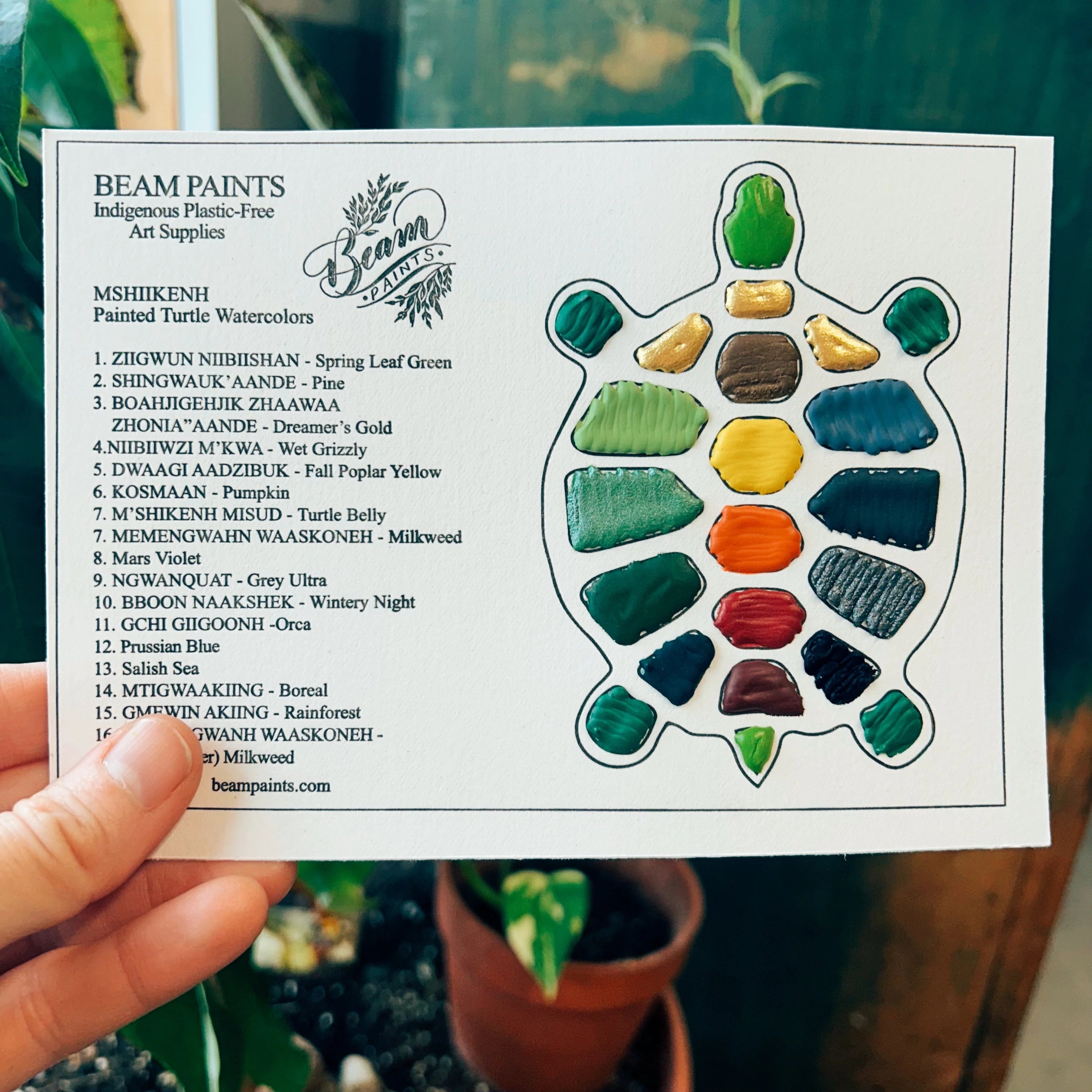 Beam Travel Cards - Wyndham Art Supplies