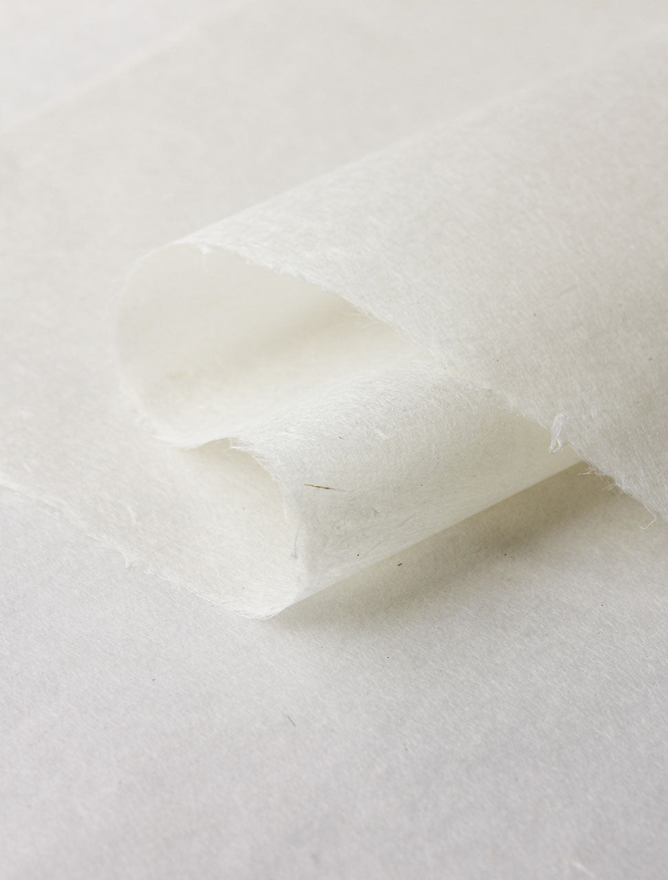 Sekishu Banshi Tsuru 21" x 29"