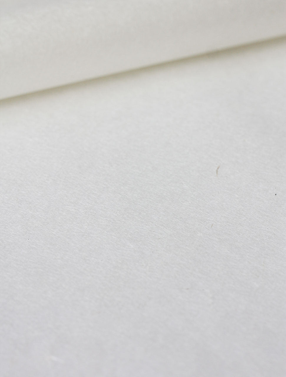 Sekishu Banshi Tsuru 21" x 29"