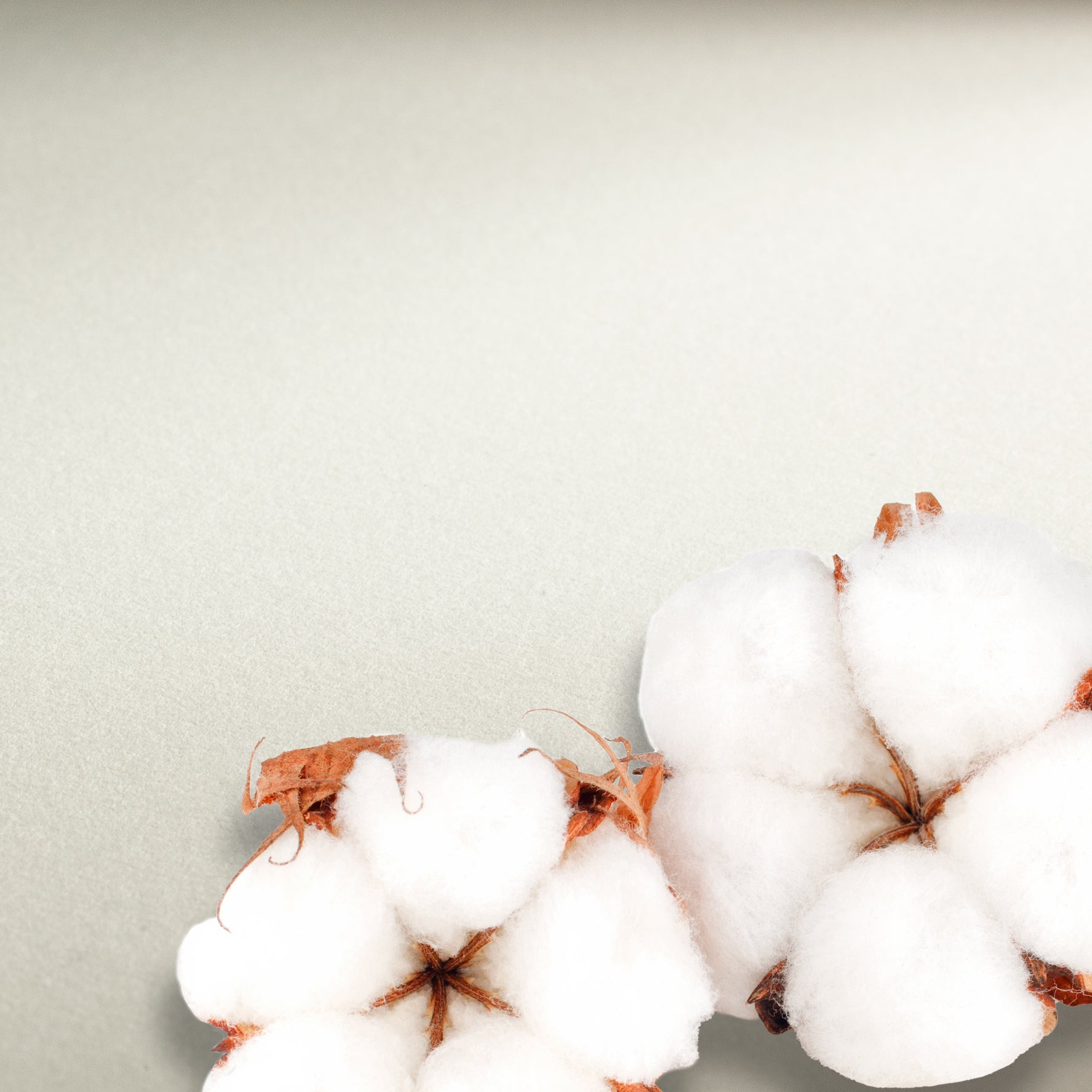 Hahnemuhle Watercolour 140lb Cold Press 22"x30"