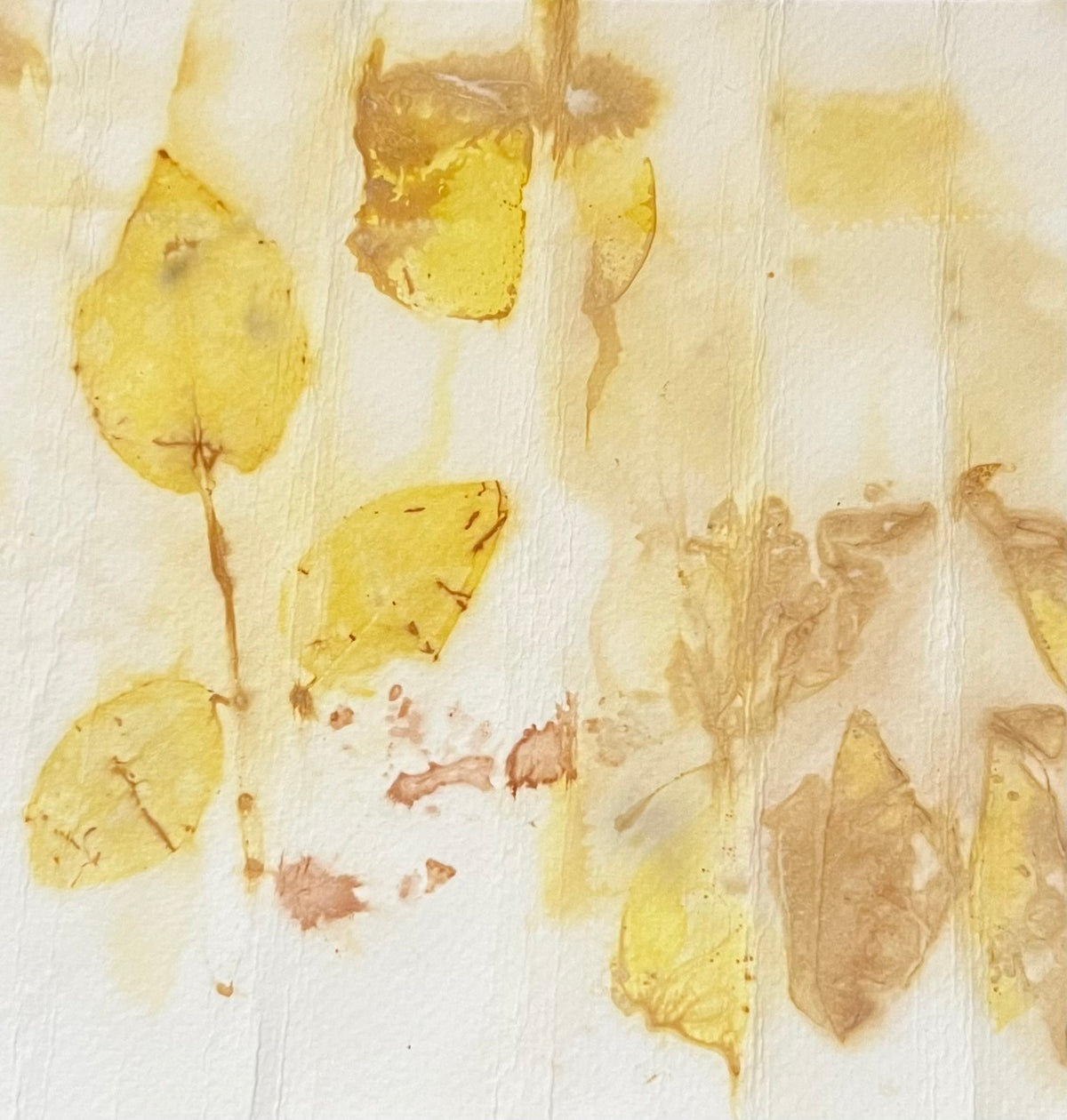 Eco-Printing Explorations On Paper
