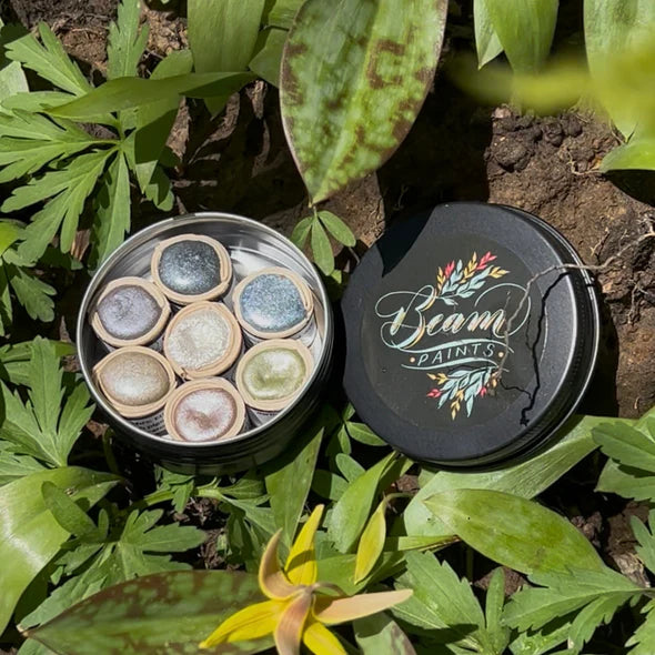 Beam Paintstone Set- Earth Shimmers