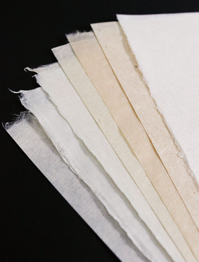 Printmaking Collection - Intaglio