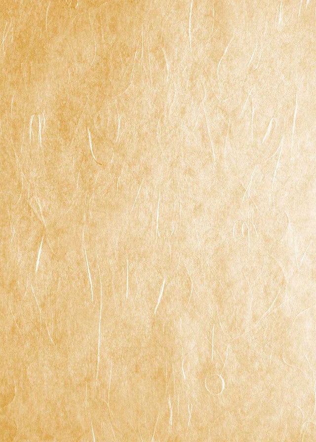 Rayon Unryu 18g