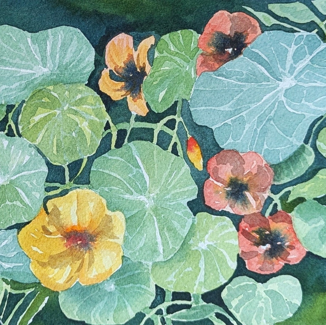 GSA Teen Watercolour