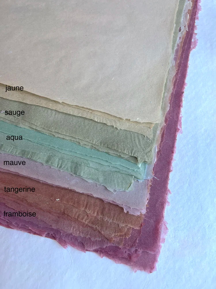 Translucent /Translucide