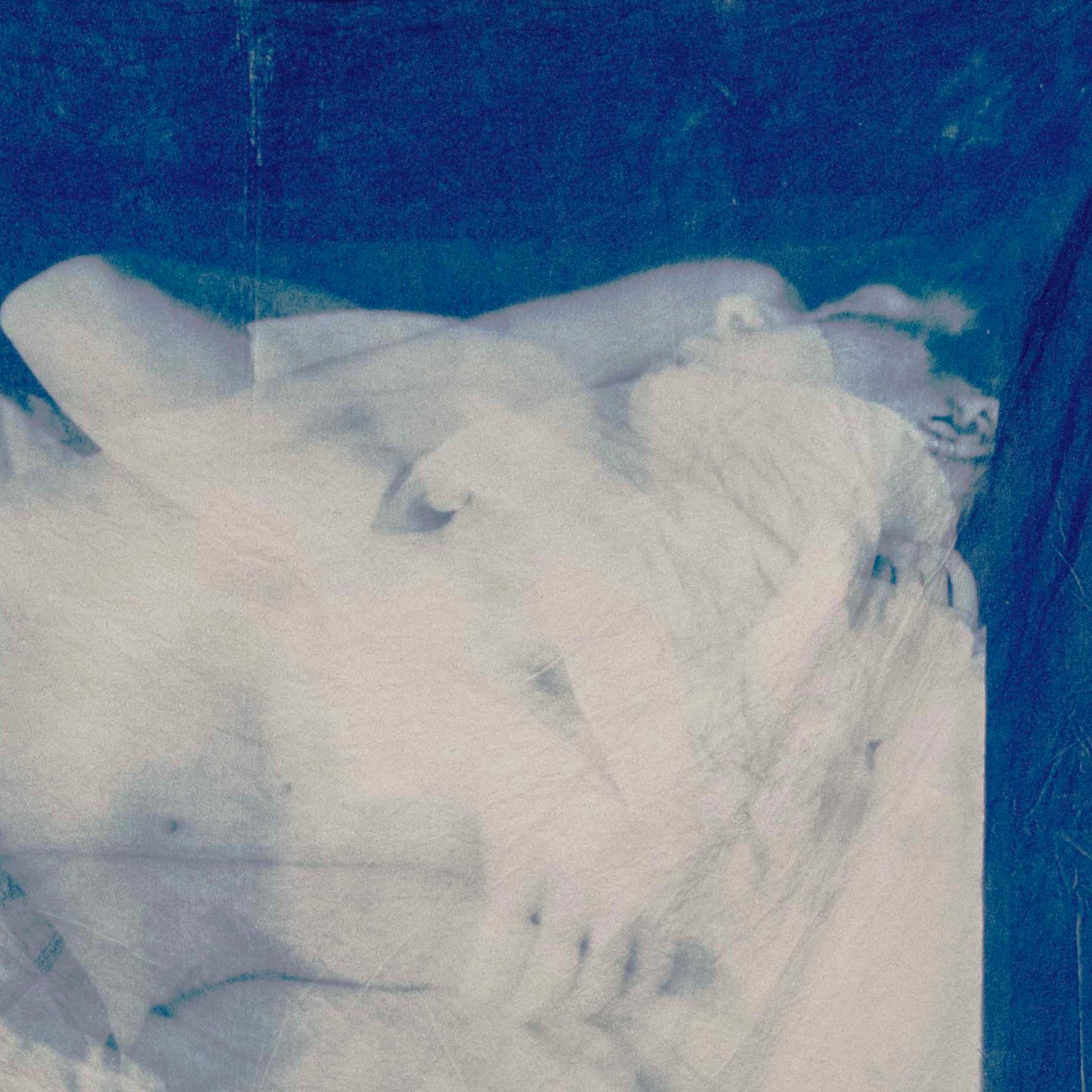 GSA Cyanotype Workshop