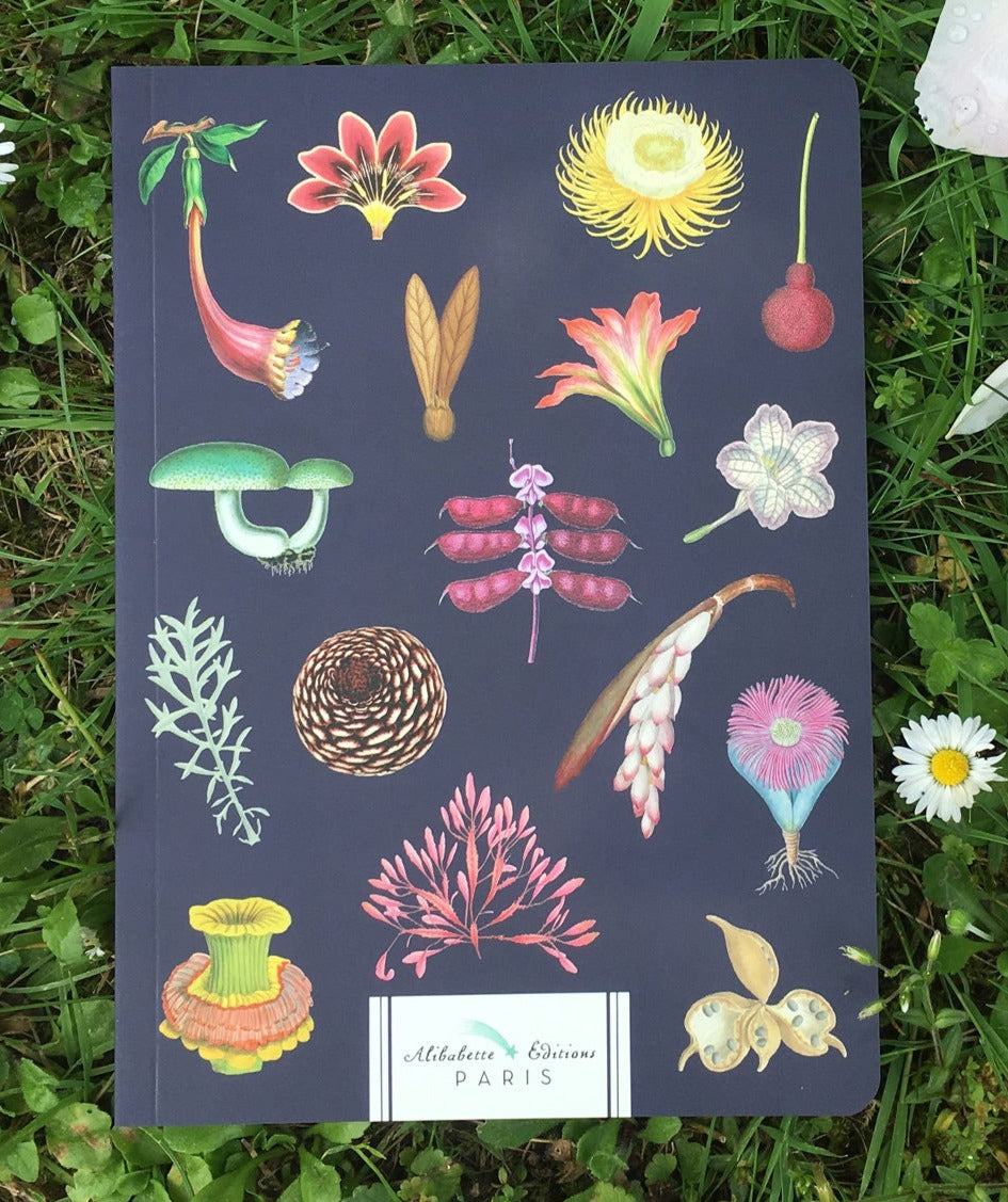 Alibabette A5 Notebook