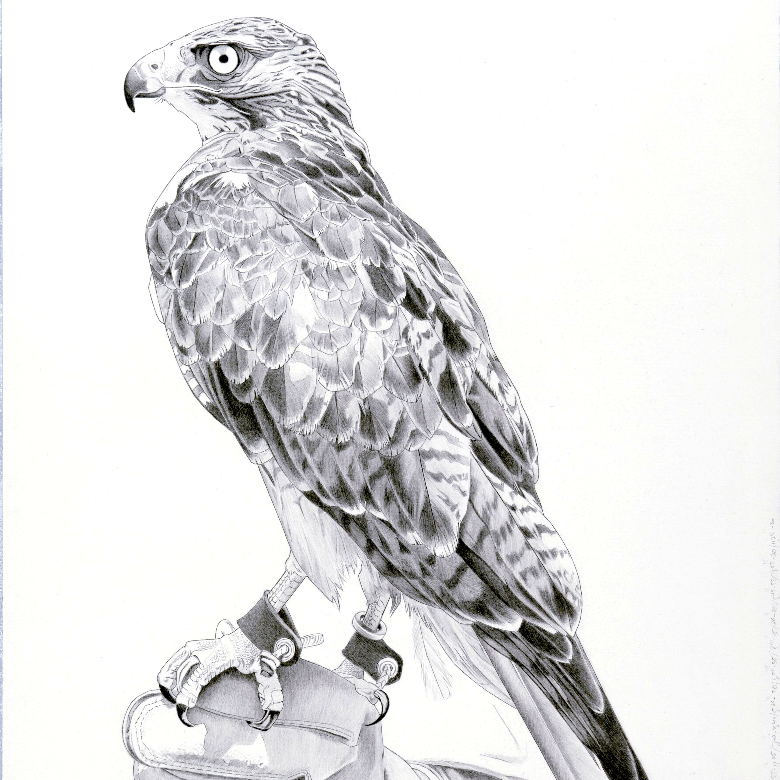 GSA Beginner Drawing Class