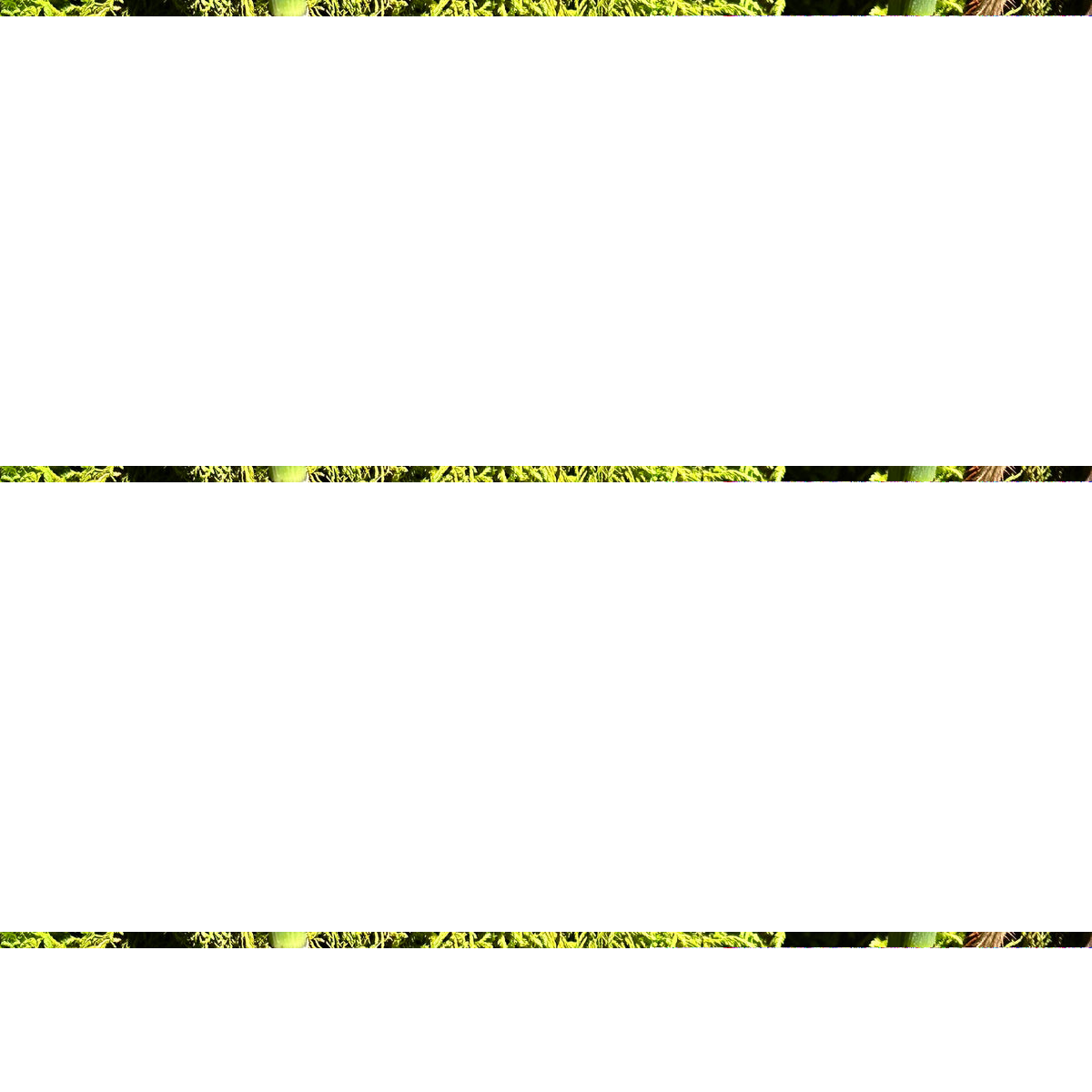 Beam Spectrum 11 Gouache Palette