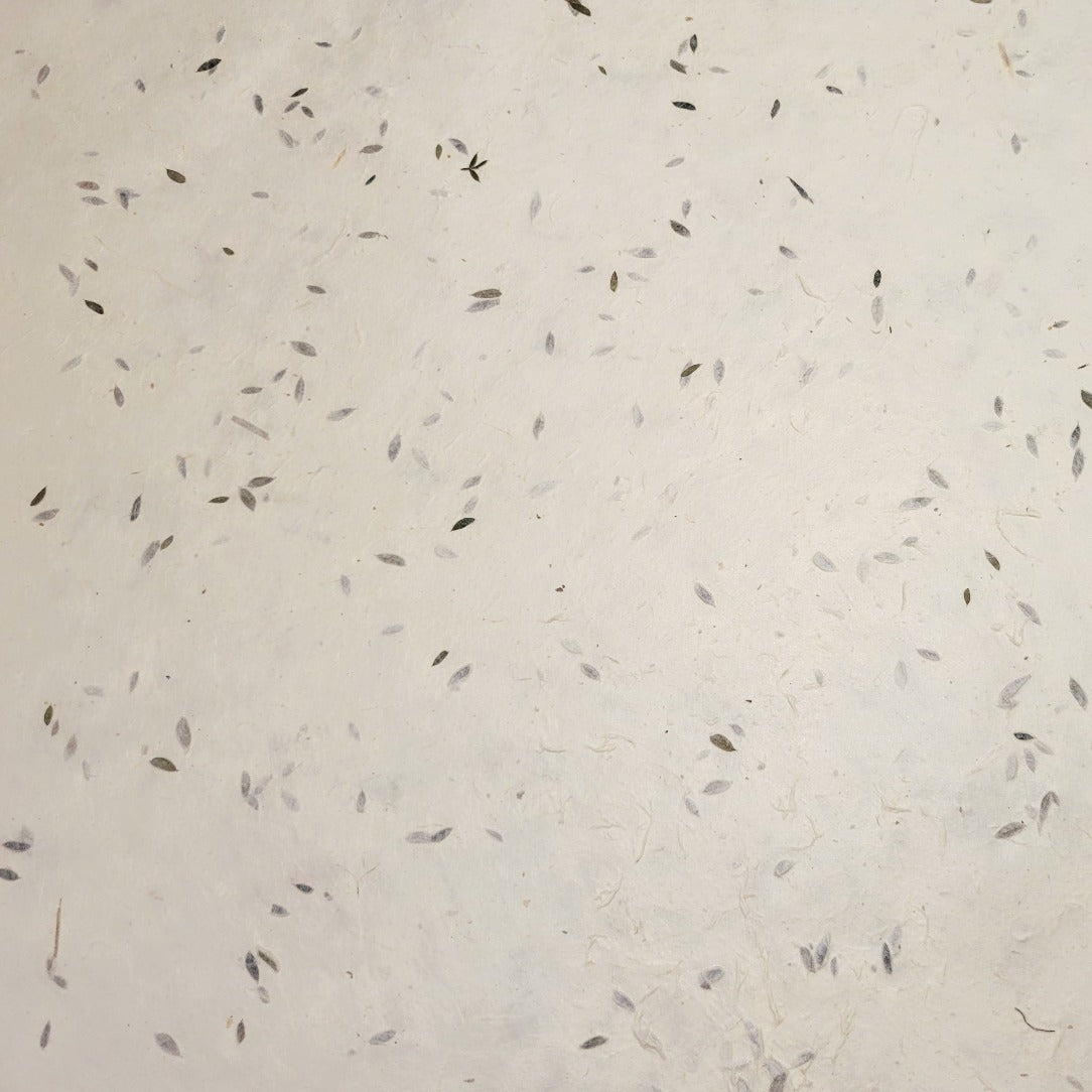 Seed & Flower Lokta Papers 20″ x 30″