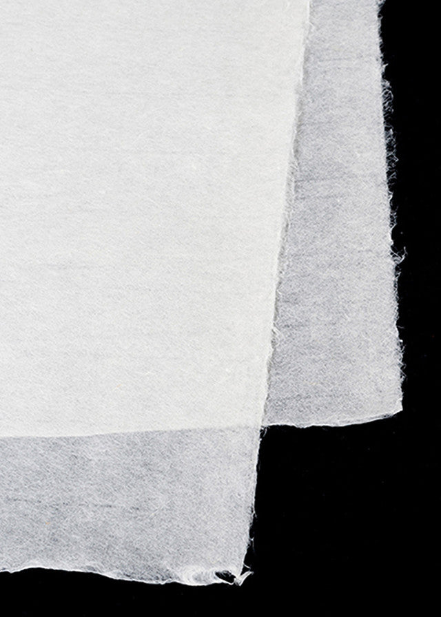 Kizuki Tosa Kozo 25"x39"
