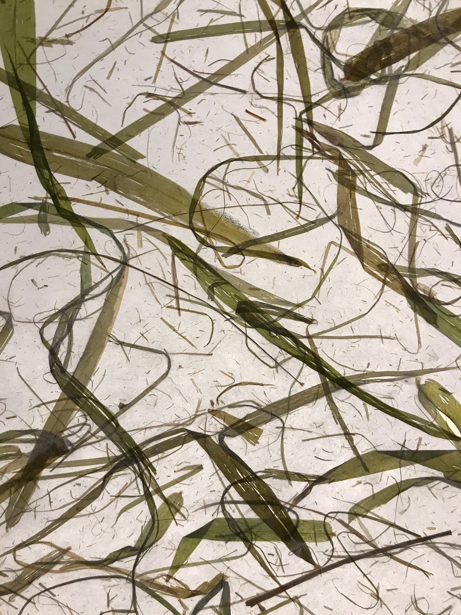 Bamboo Leaves 25" x 37"