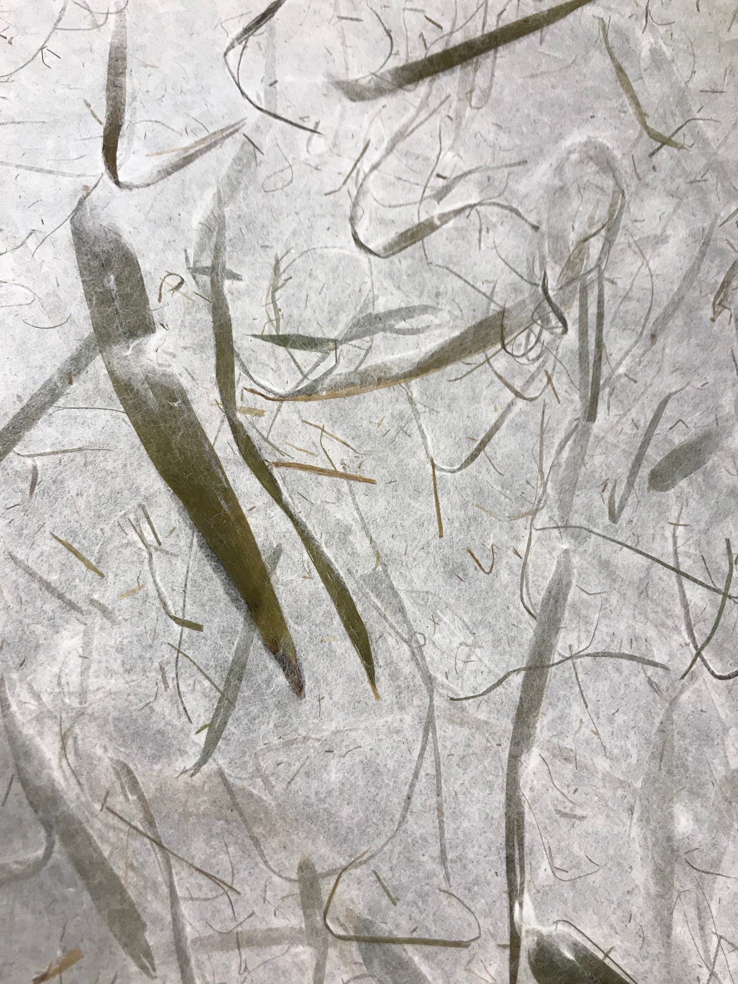 Bamboo Leaves 25" x 37"