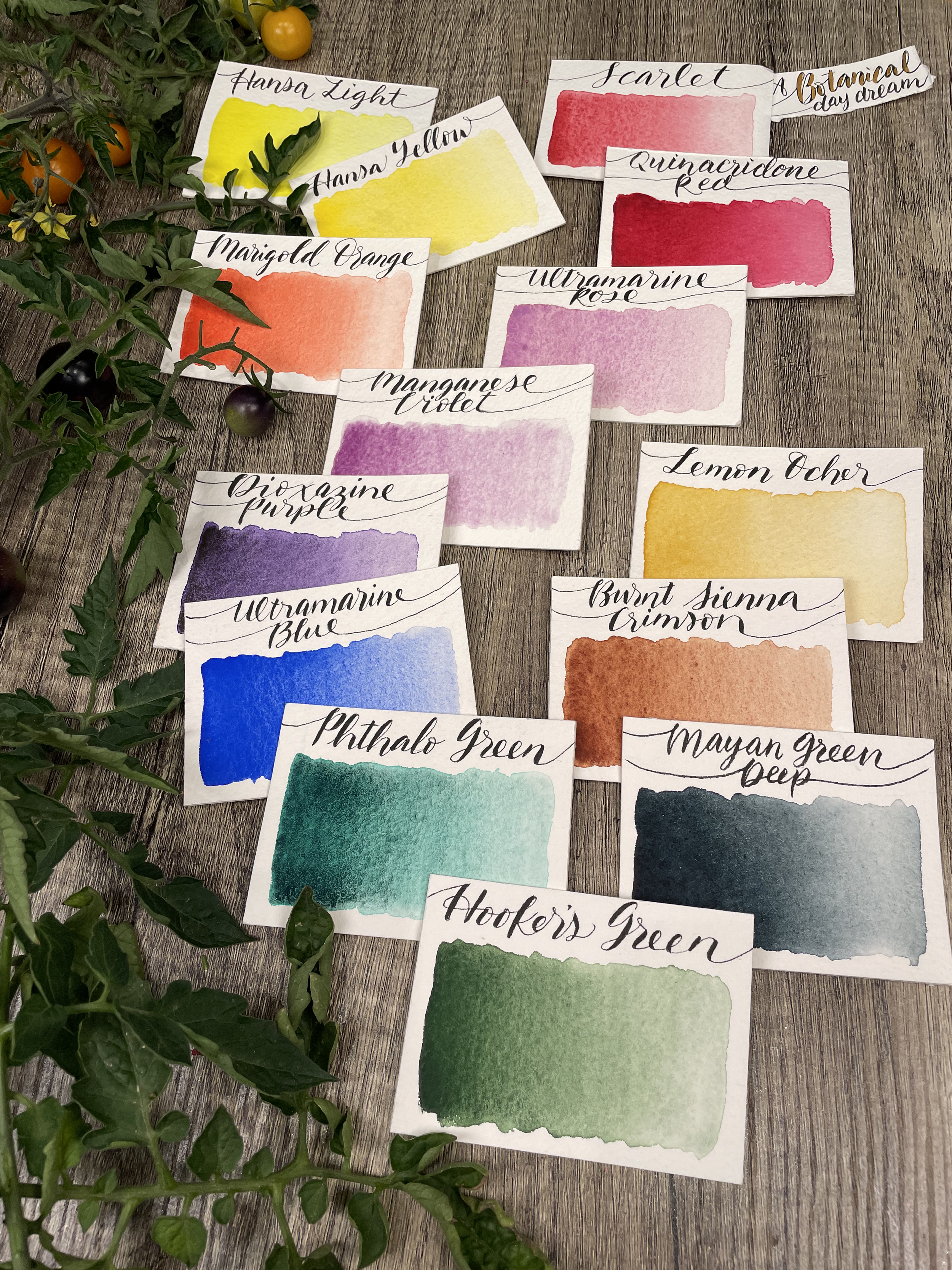 Stoneground Watercolour Paint - Botanical Palette - 14 colours