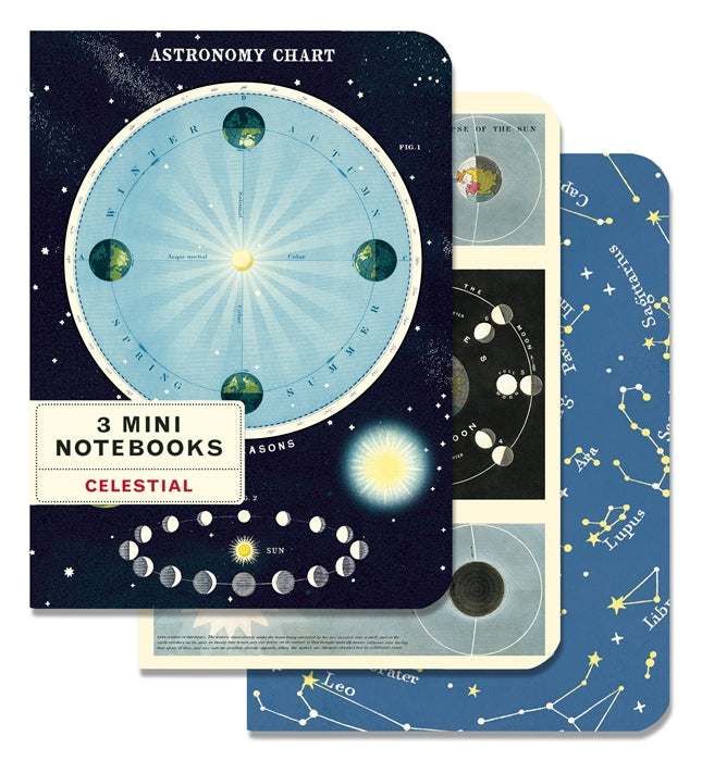 Cavallini Mini Notebooks