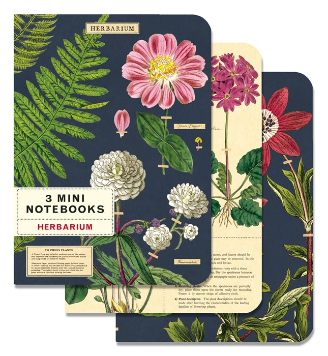 Cavallini Mini Notebooks