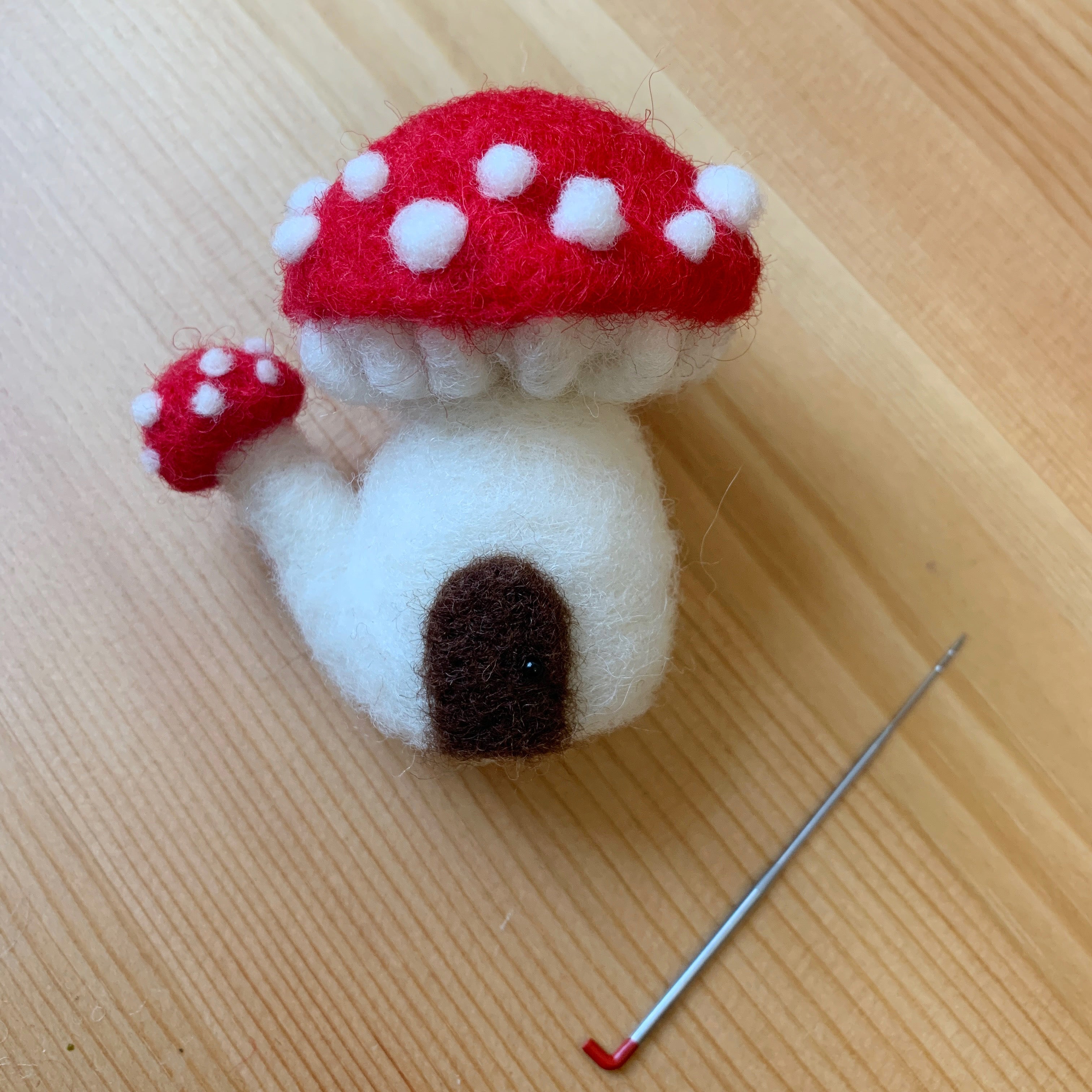 GSA Beginner Mushroom Felting
