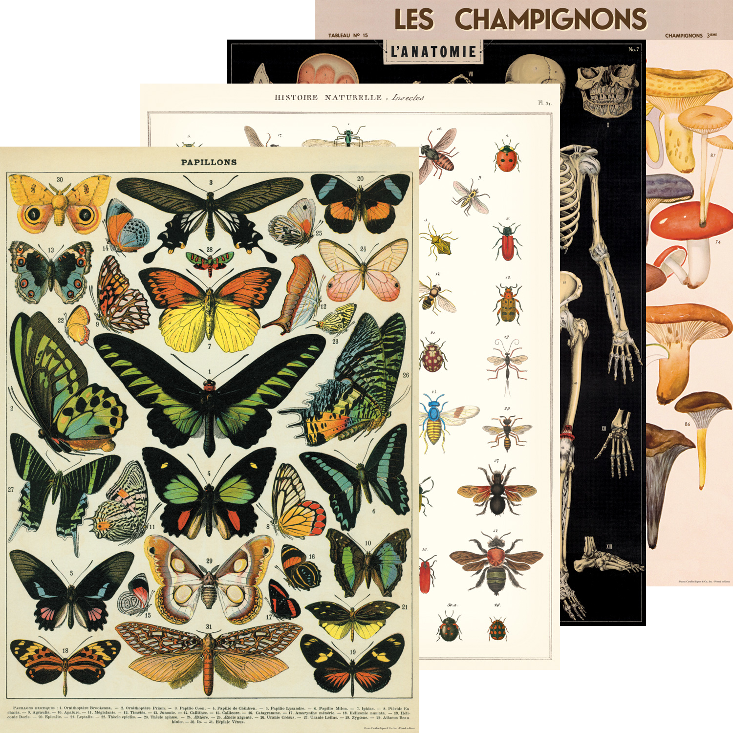 Cavallini Vintage Posters - Wyndham Art Supplies