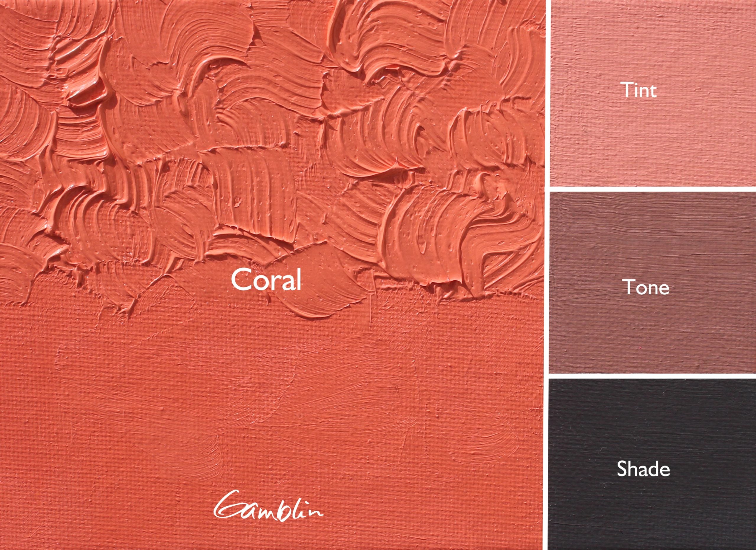 Gamblin 1980 Oil Paint