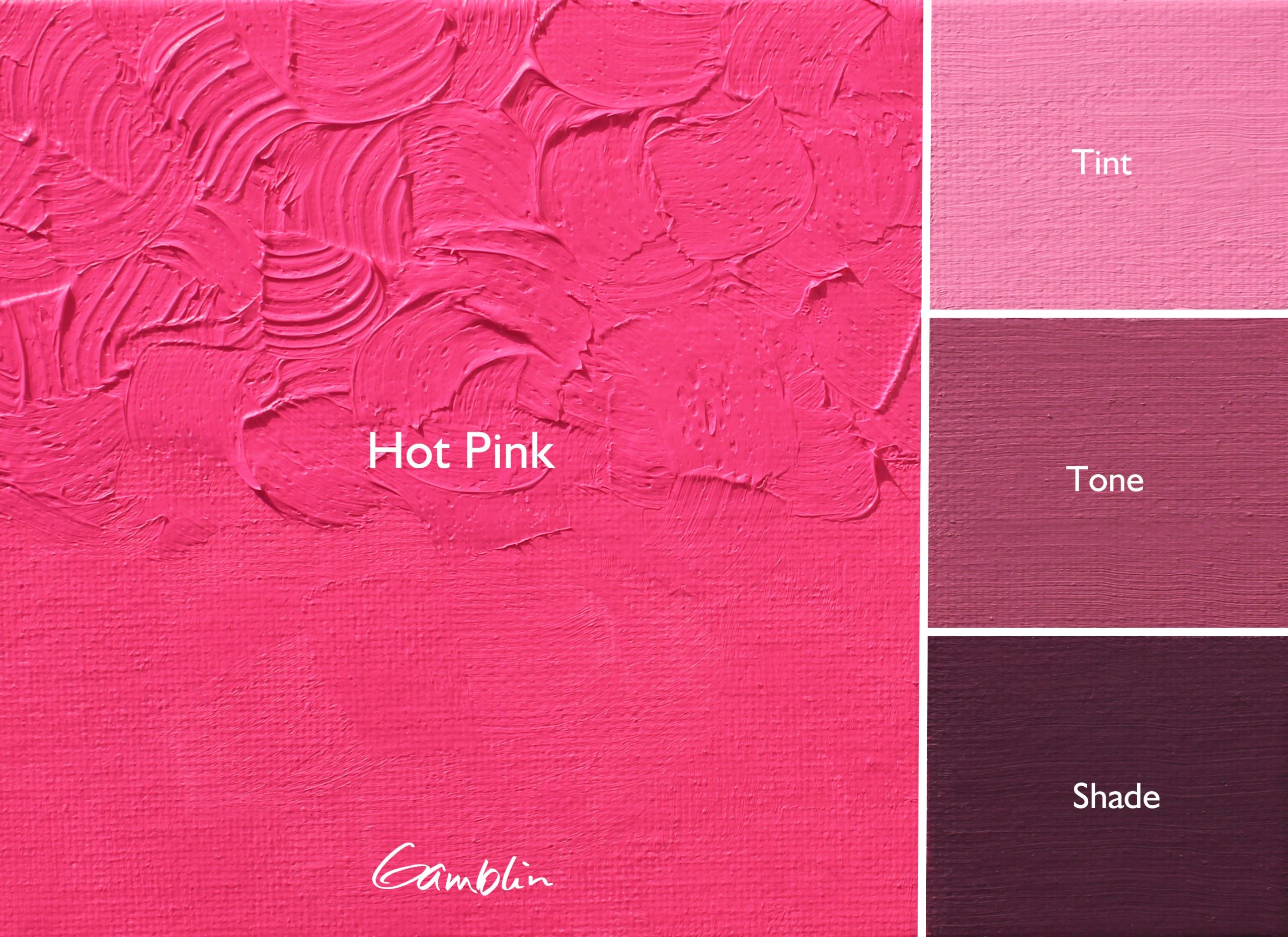 Gamblin 1980 Oil Paint