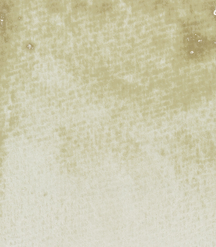 Schmincke Horadam Naturals Watercolours