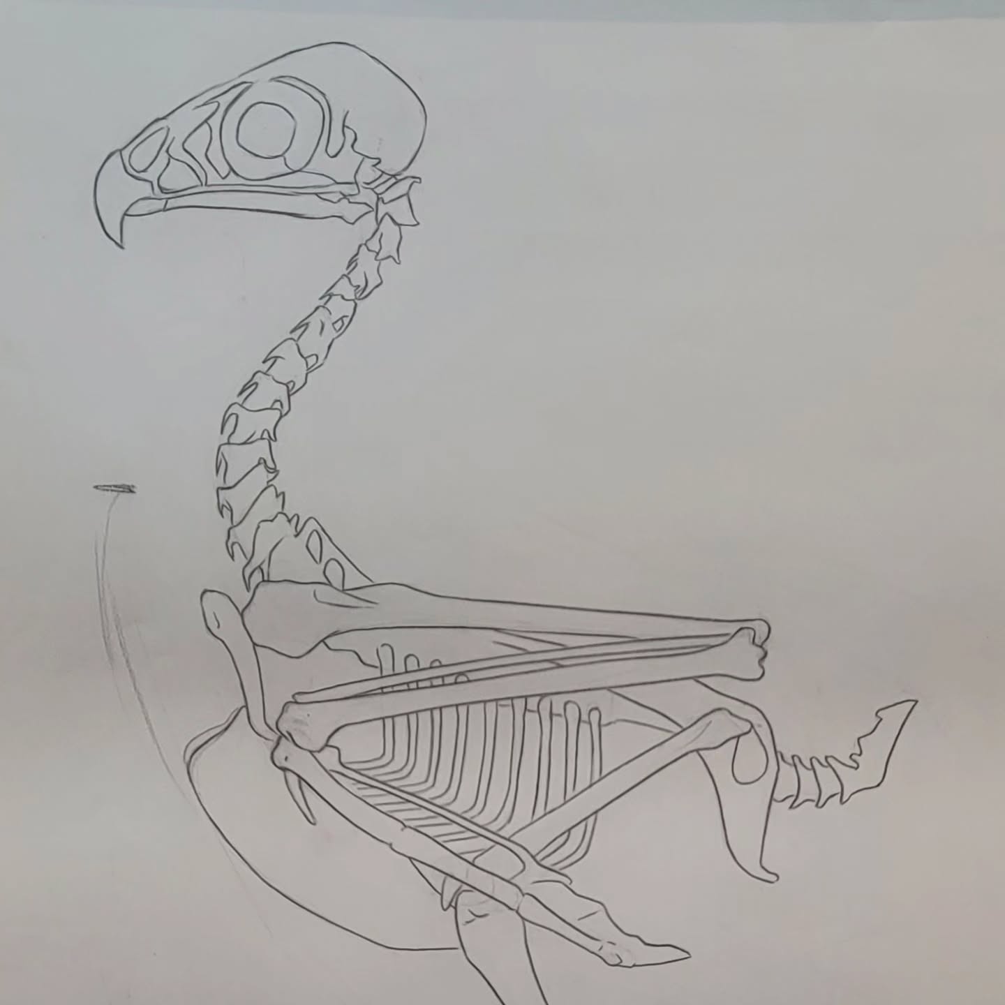 Beginner Drawing Workshop - Wyndham Art Supplies