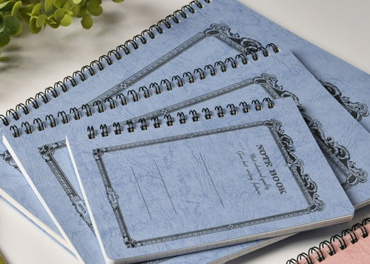 APICA Twin Ring Notebooks