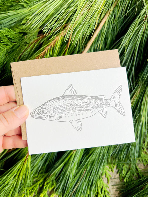 Beam Paintable Cards (With Paint!)