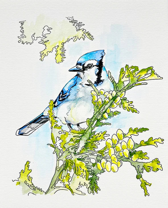 Beam Paintable Cards (With Paint!)