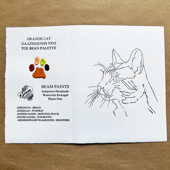 Beam Paintable Cards (With Paint!)