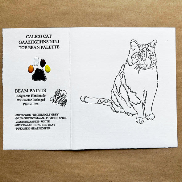 Beam Paintable Cards (With Paint!)