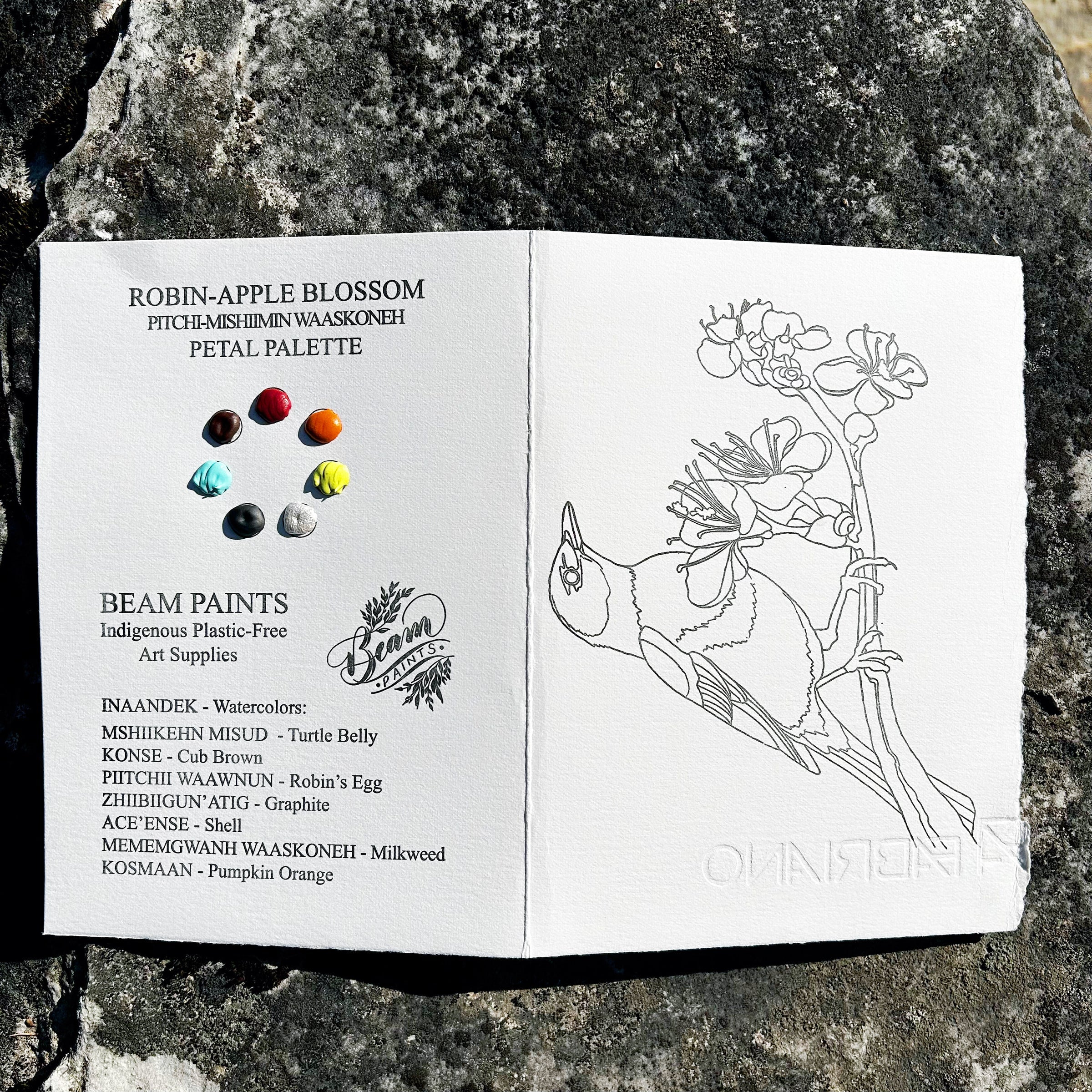 Beam Paintable Cards (With Paint!)