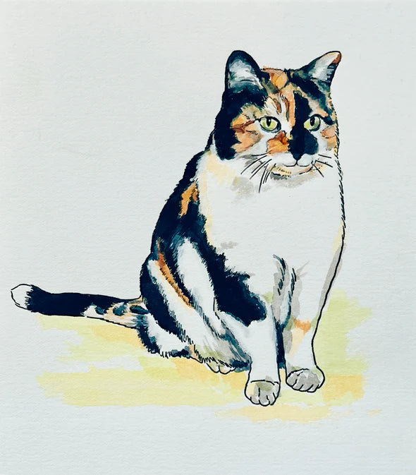 Beam Paintable Cards (With Paint!)