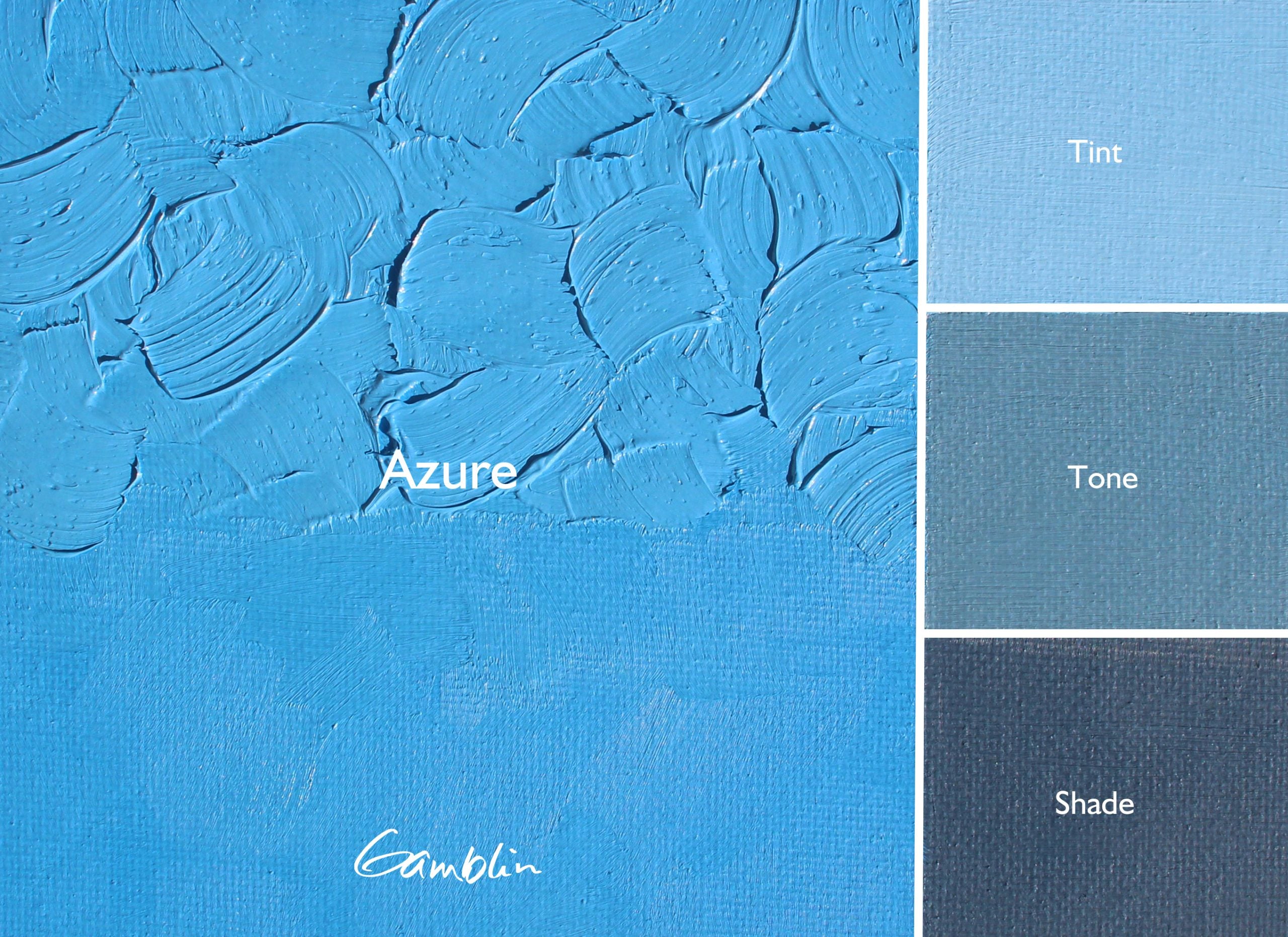 Gamblin Artist Oil Colour 37ml