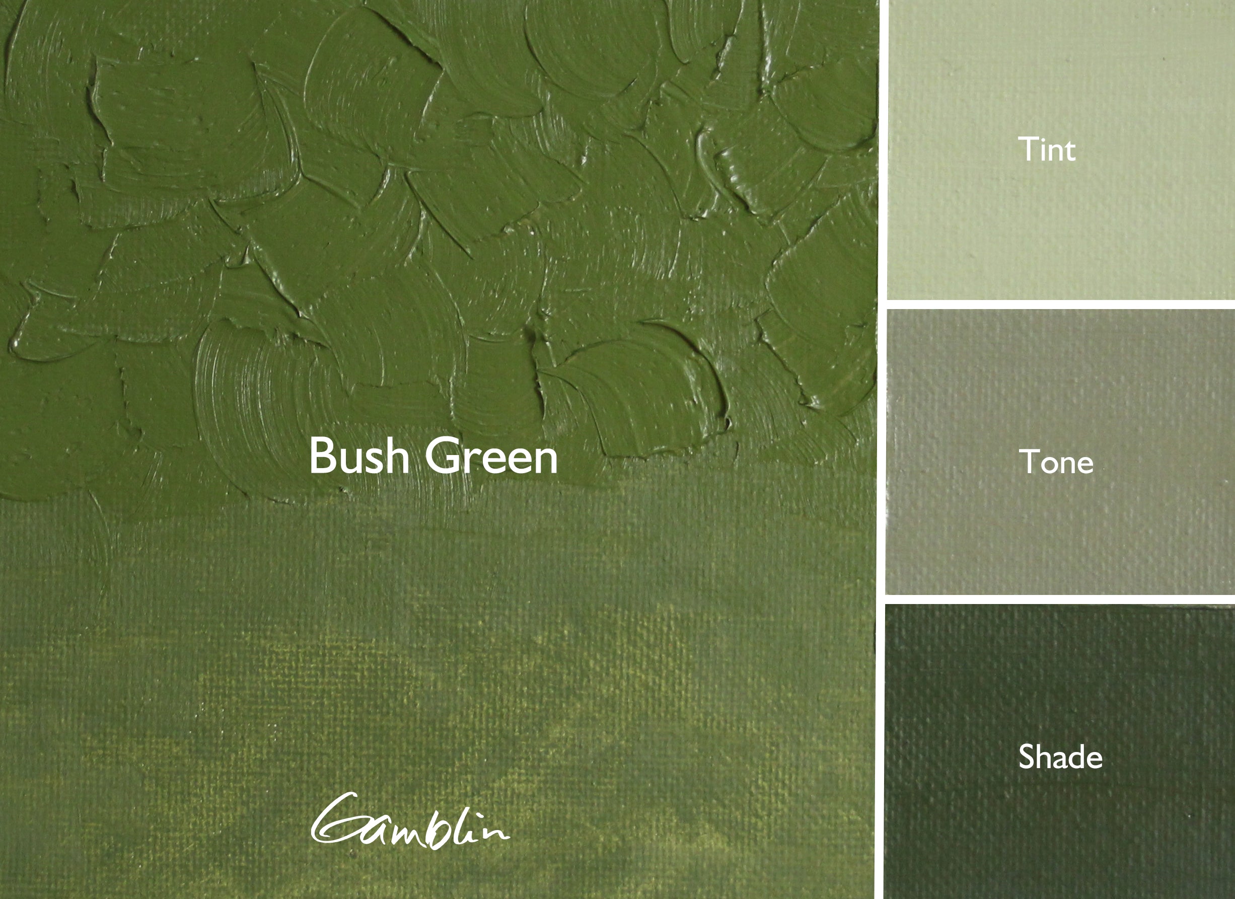 Gamblin Artist Oil Colour 37ml