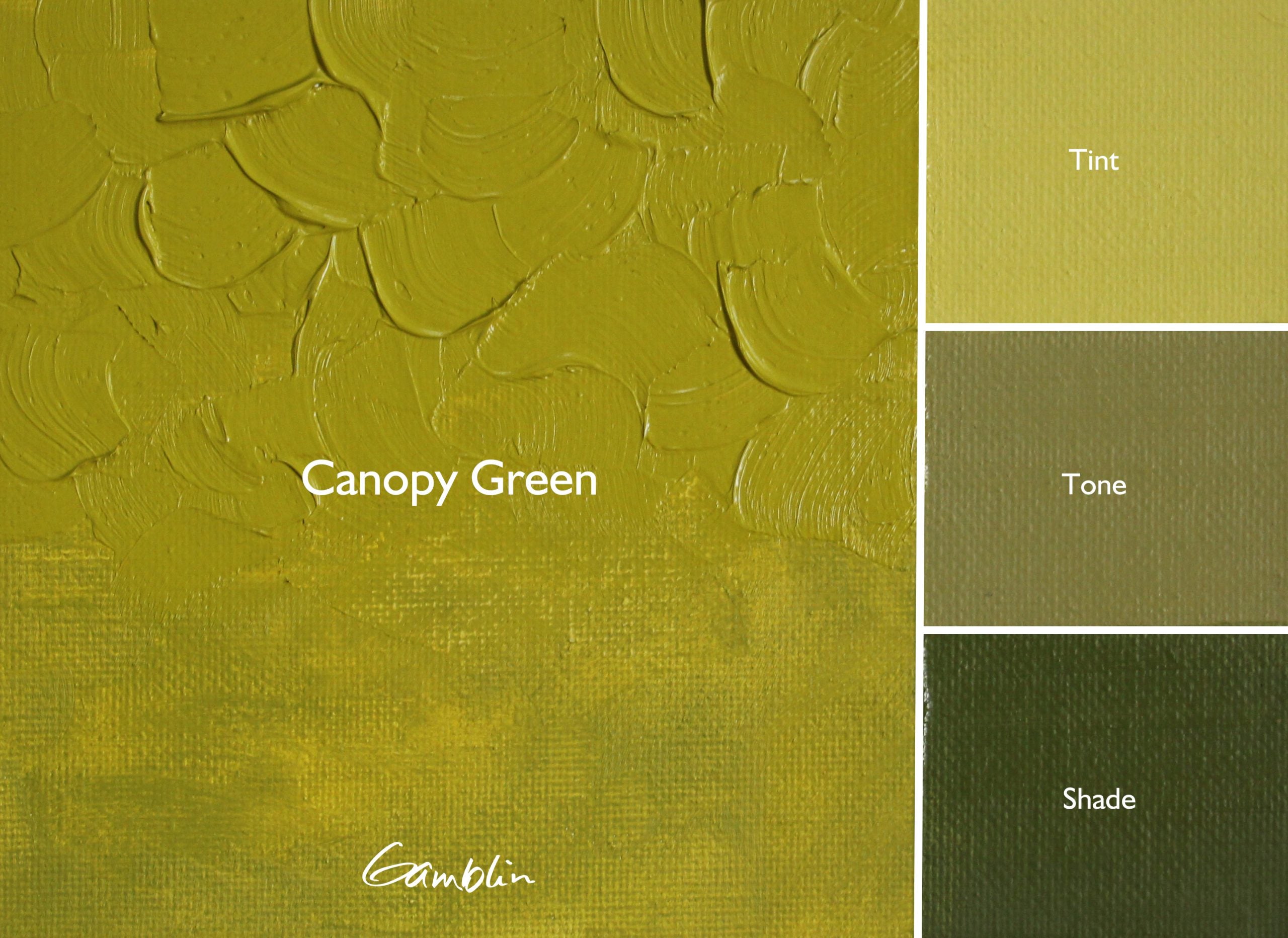 Gamblin Artist Oil Colour 37ml