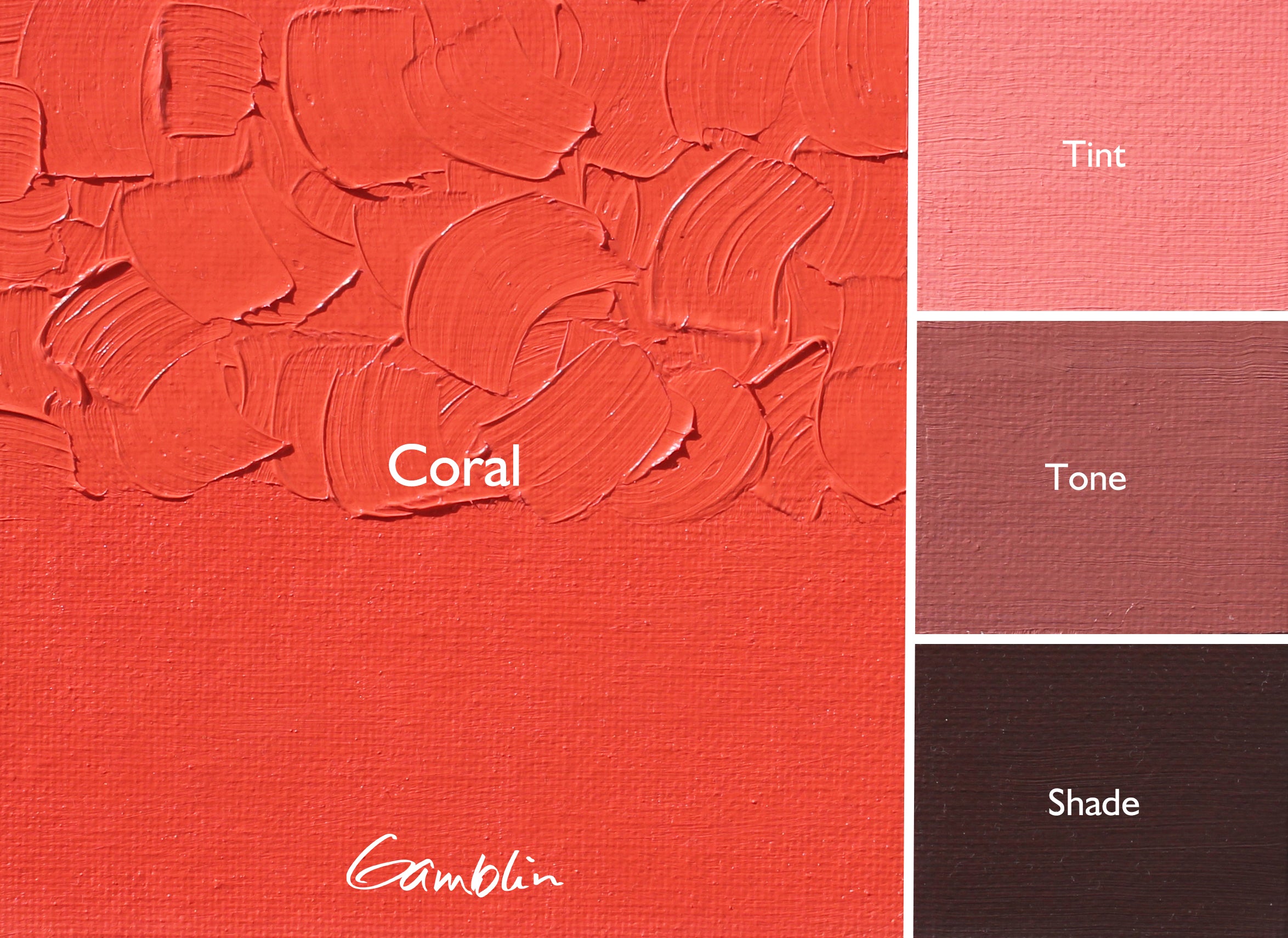 Gamblin Artist Oil Colour 37ml