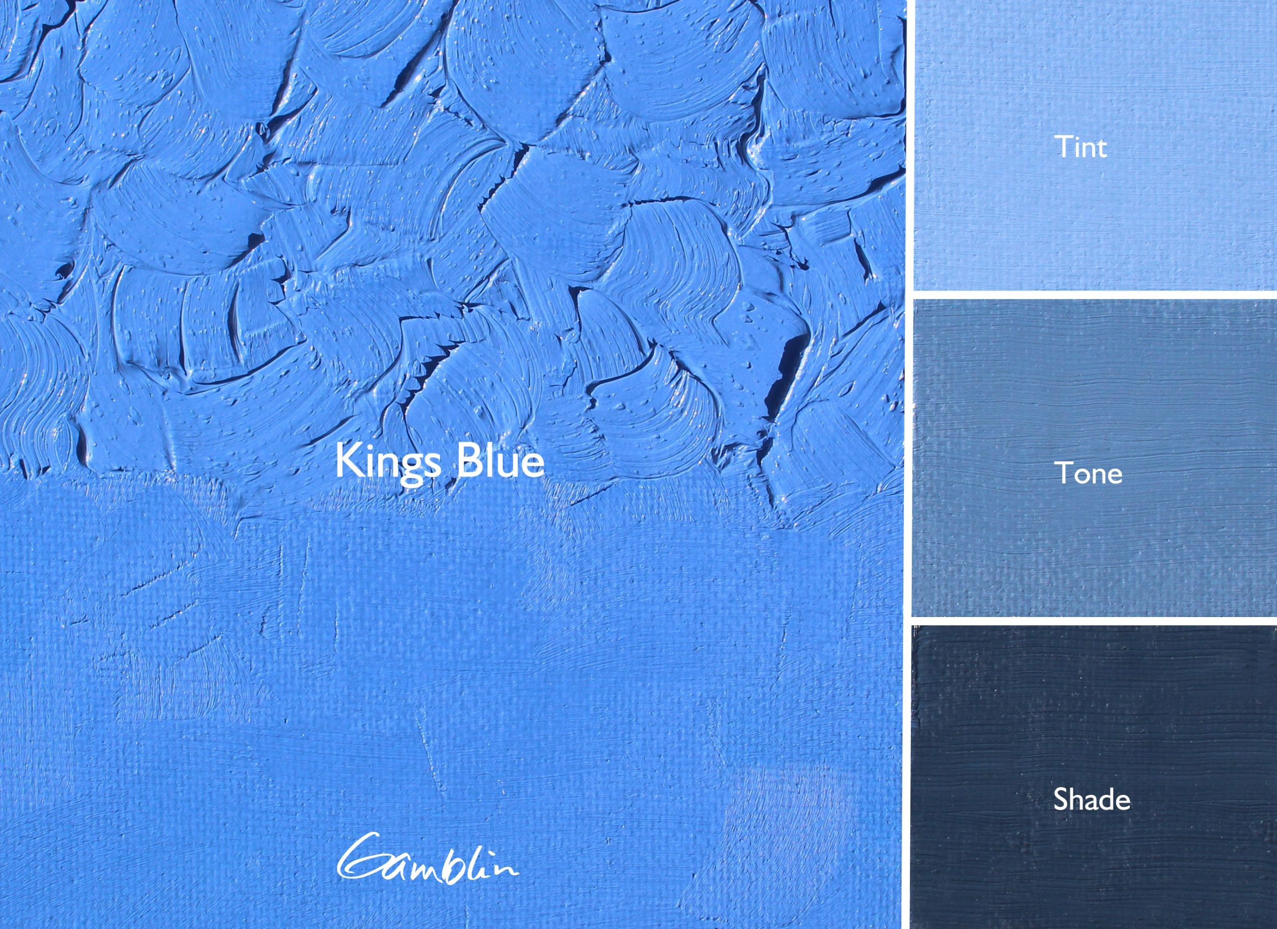 Gamblin Artist Oil Colour 37ml