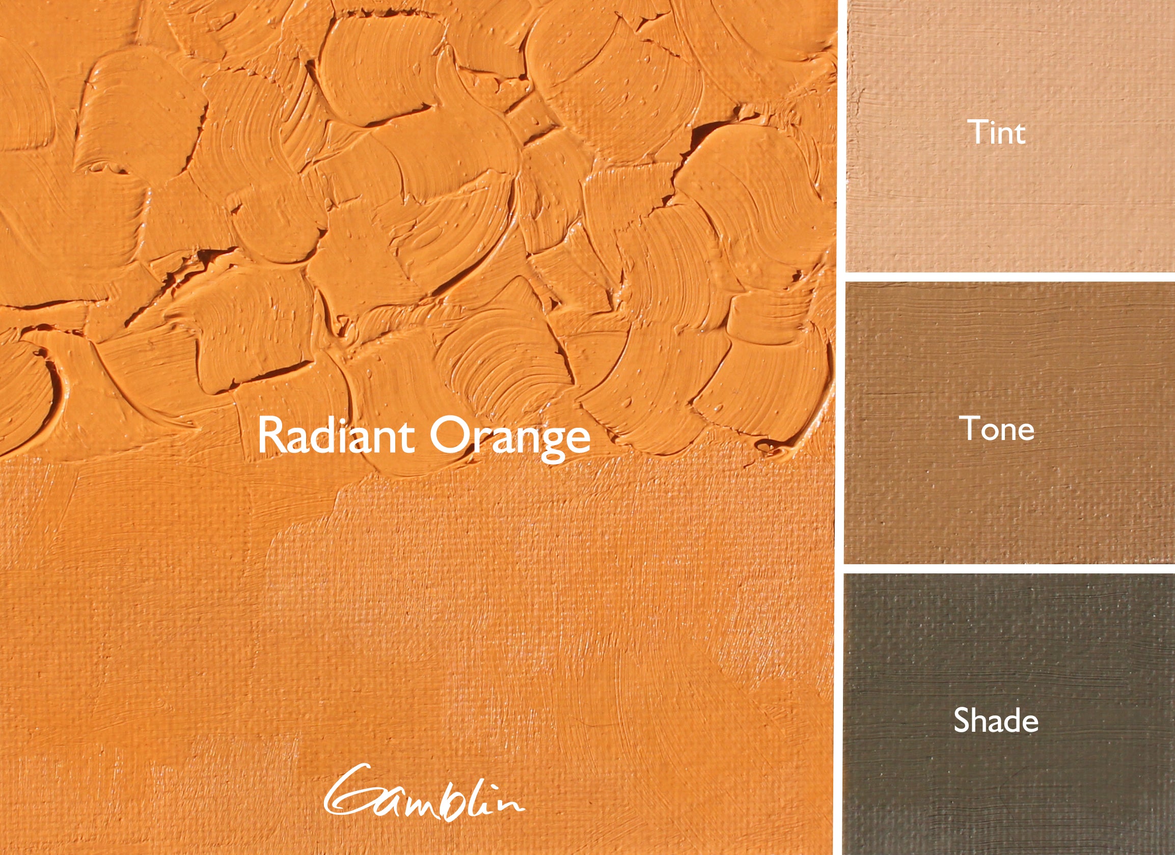 Gamblin Artist Oil Colour 37ml