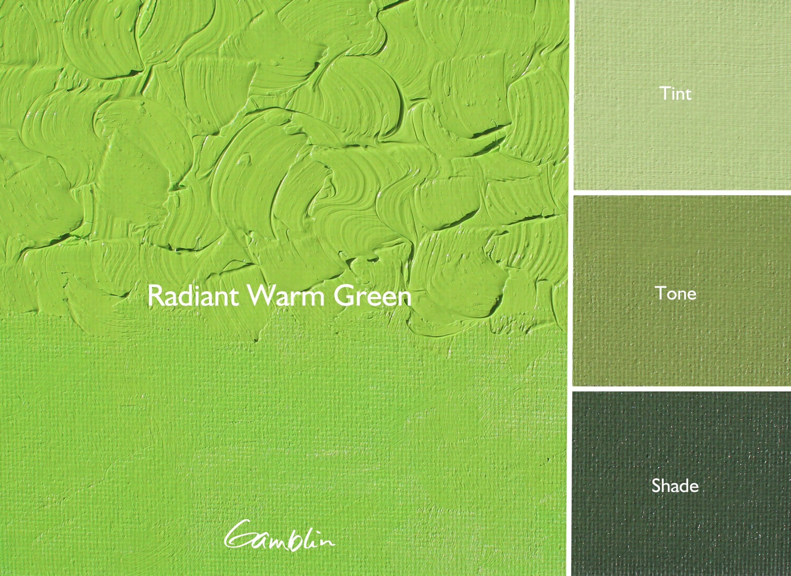 Gamblin Artist Oil Colour 37ml