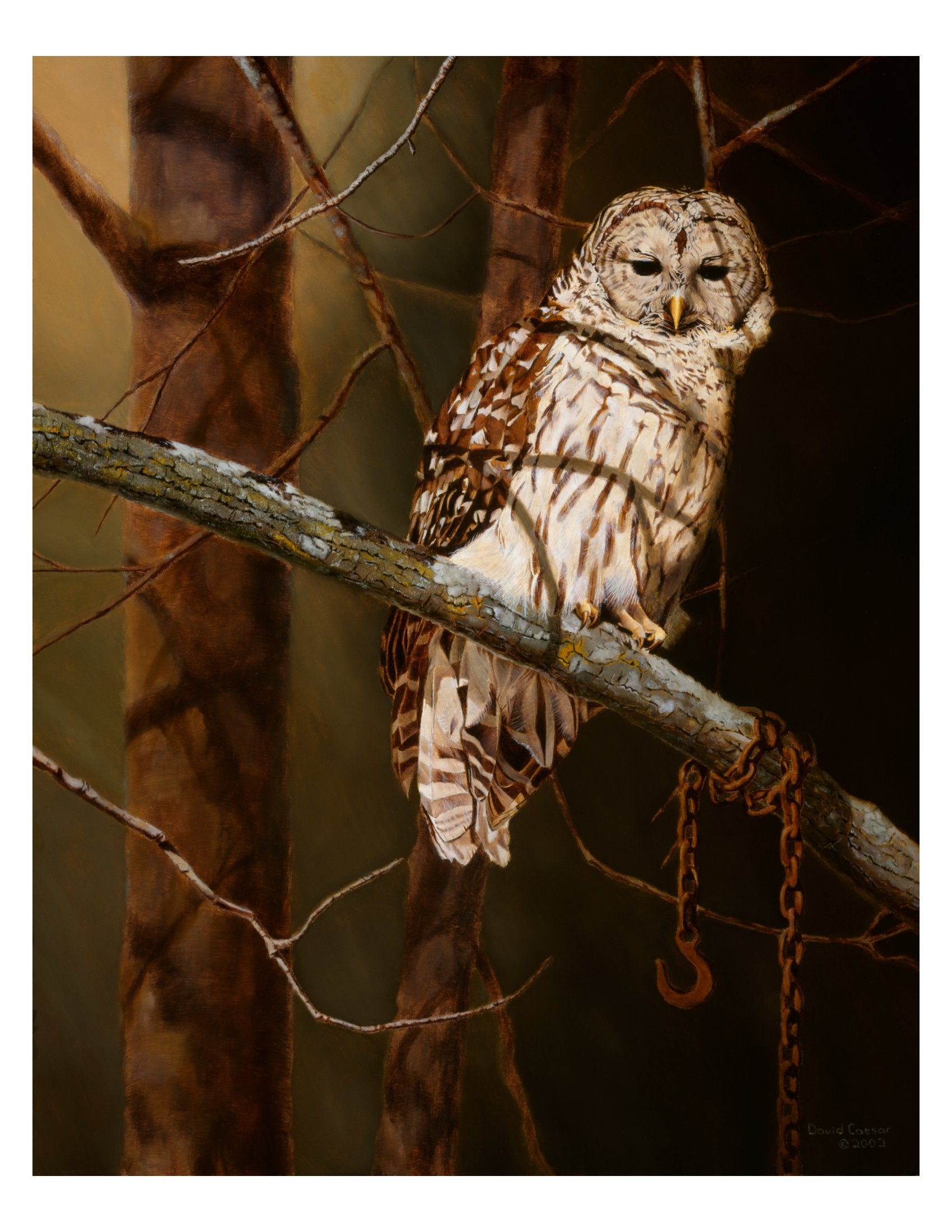 GSA Workshop: Paint An Owl!