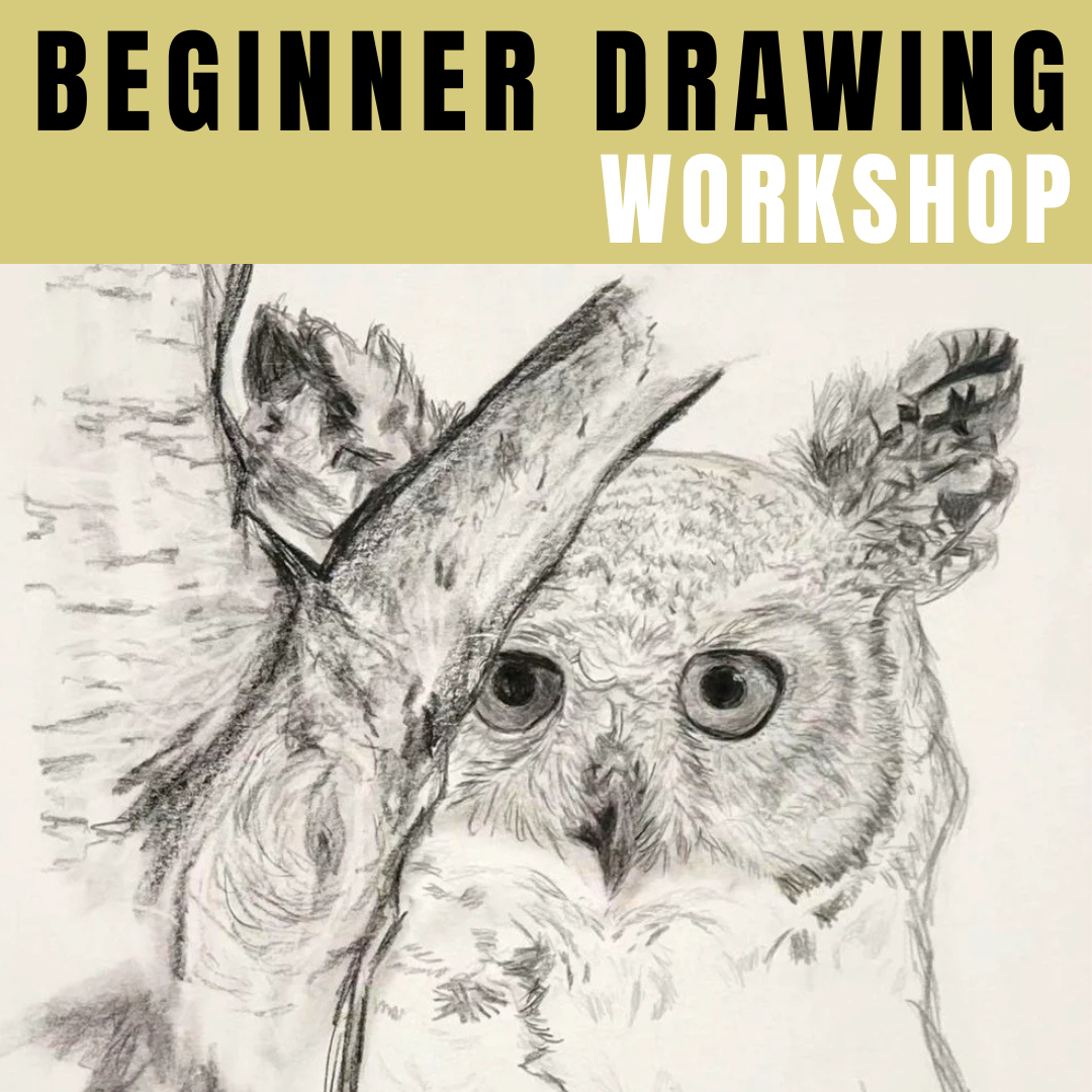Beginner Drawing Workshop - Wyndham Art Supplies