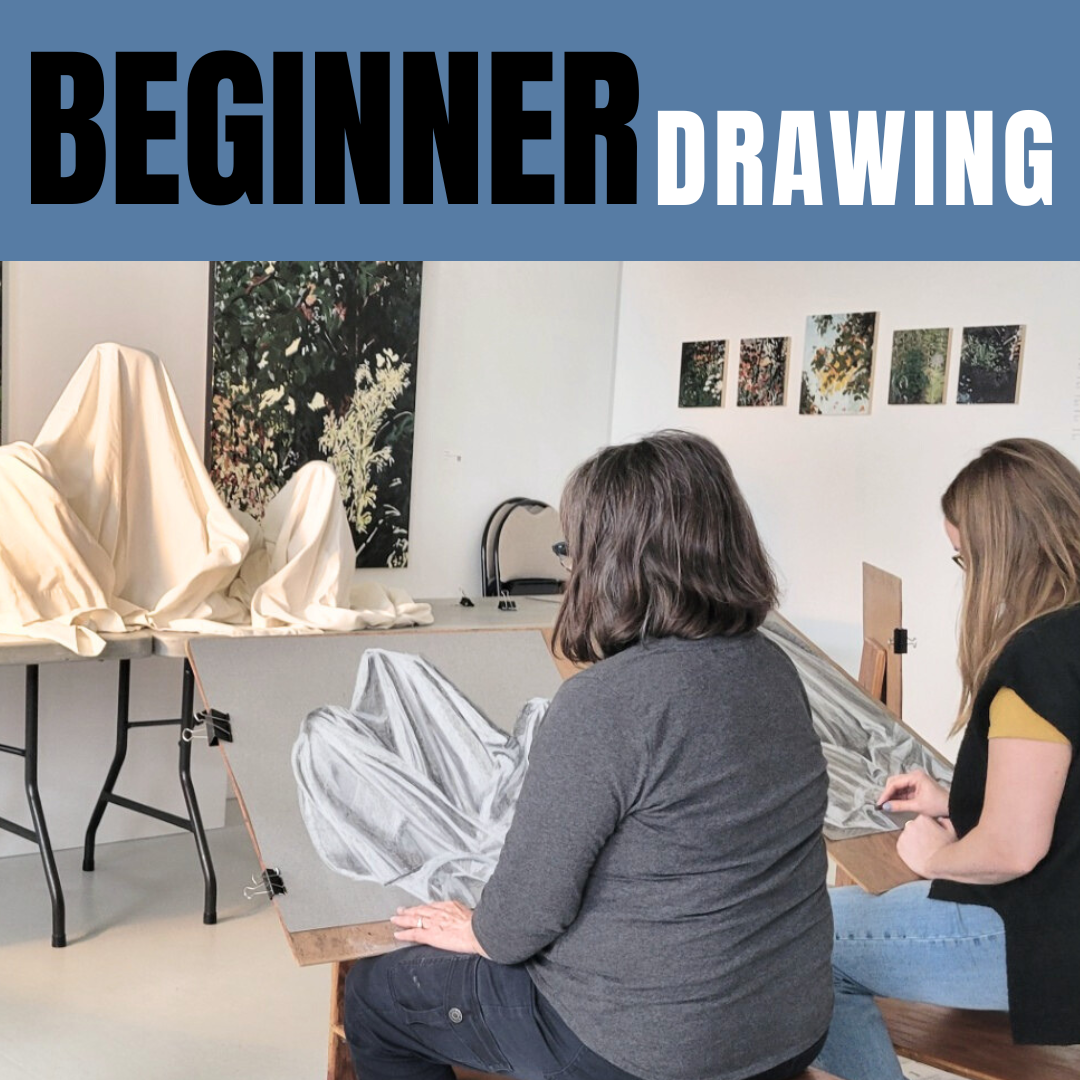 Beginner Drawing Class - Feburary