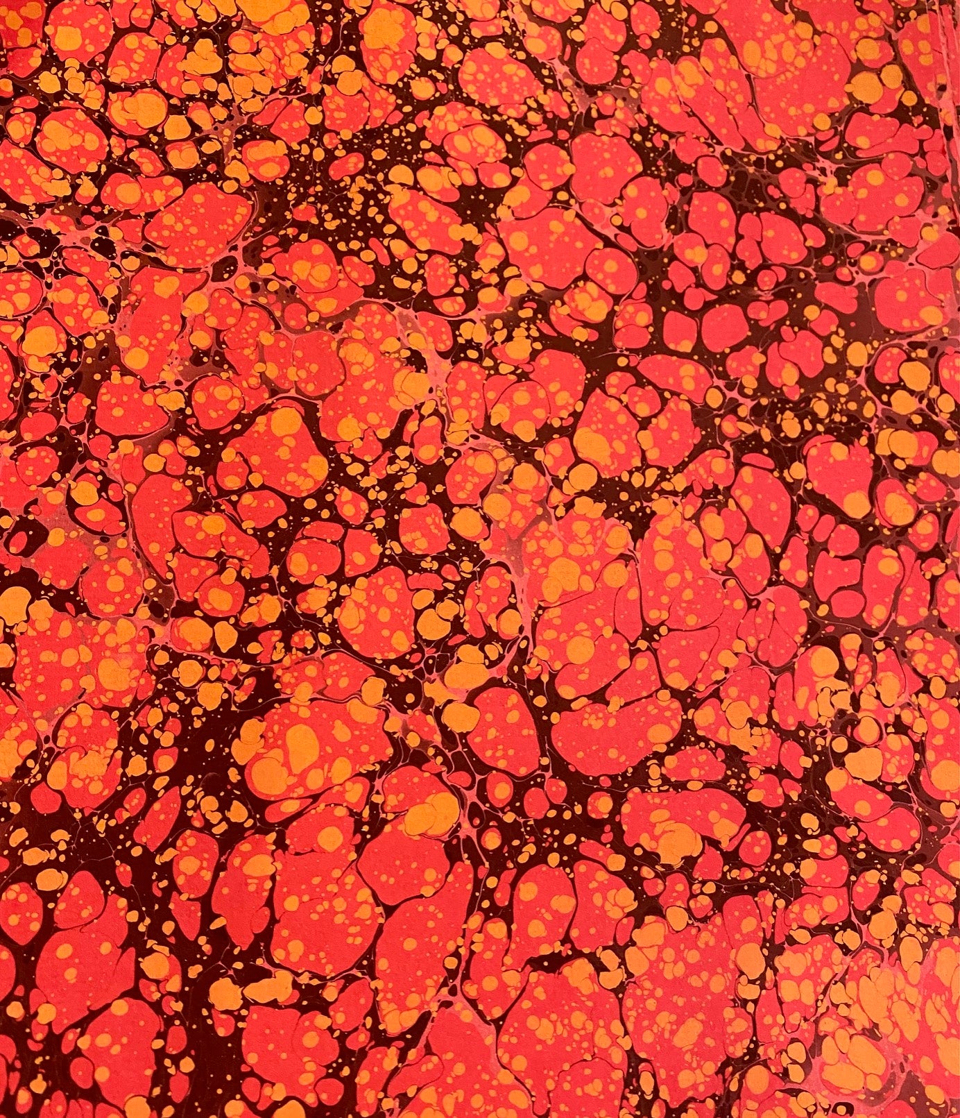 Feuilles Marbled Paper Sheets 20" × 26"