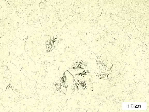 Mottled Paper - Vegetable Fiber - Wyndham Art Supplies