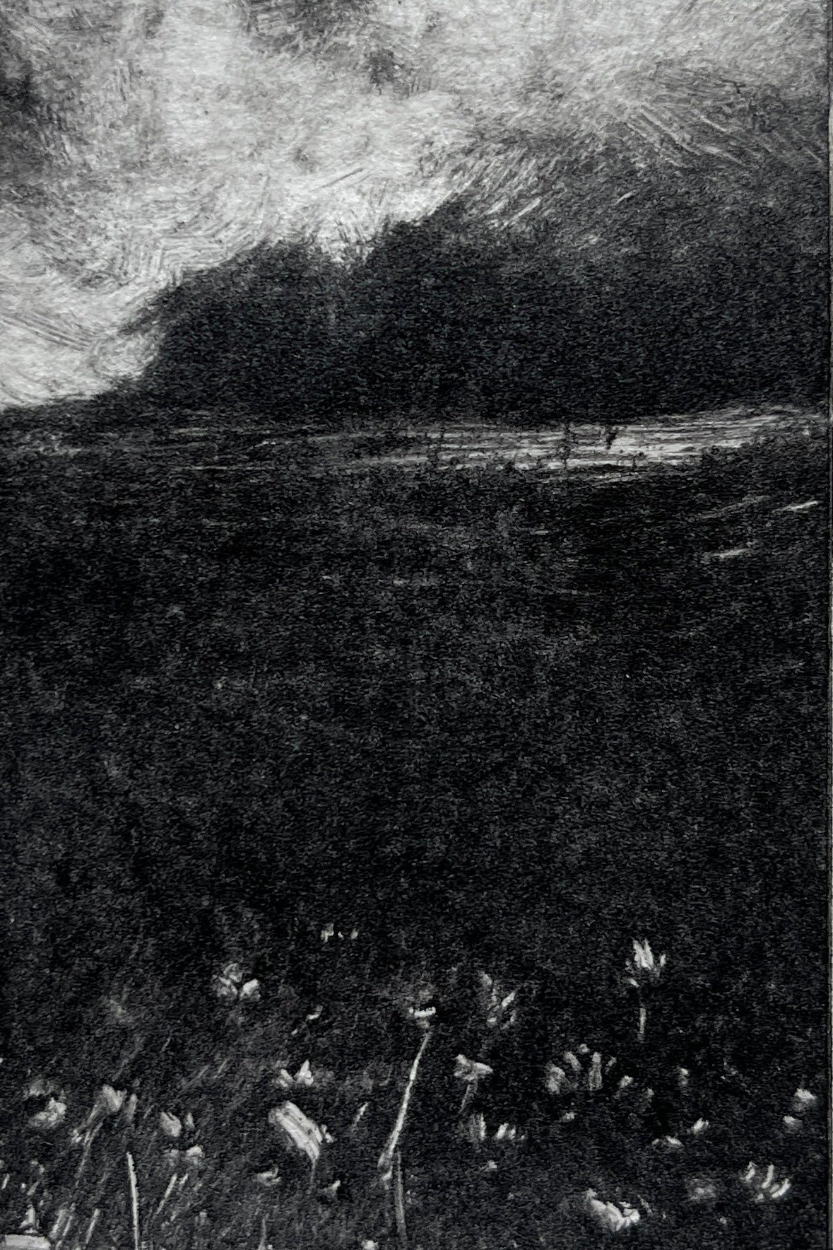 Moody Monotypes Printmaking